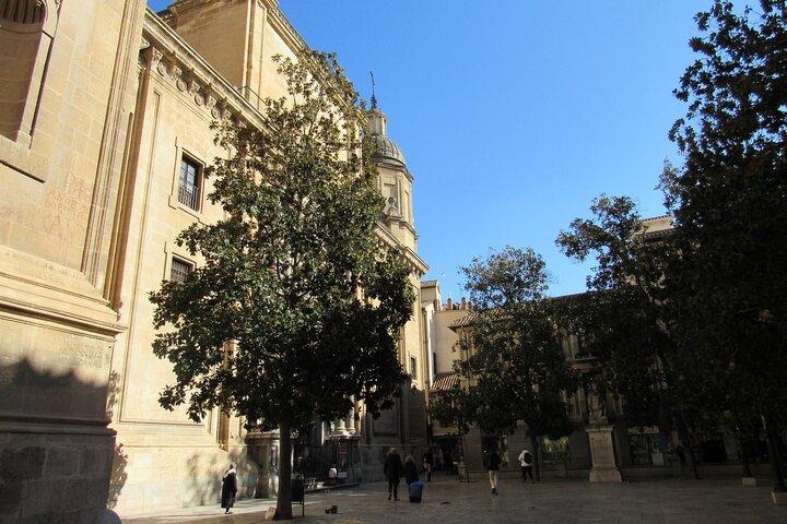 Paseo Cultural y Gastronómico por Granada