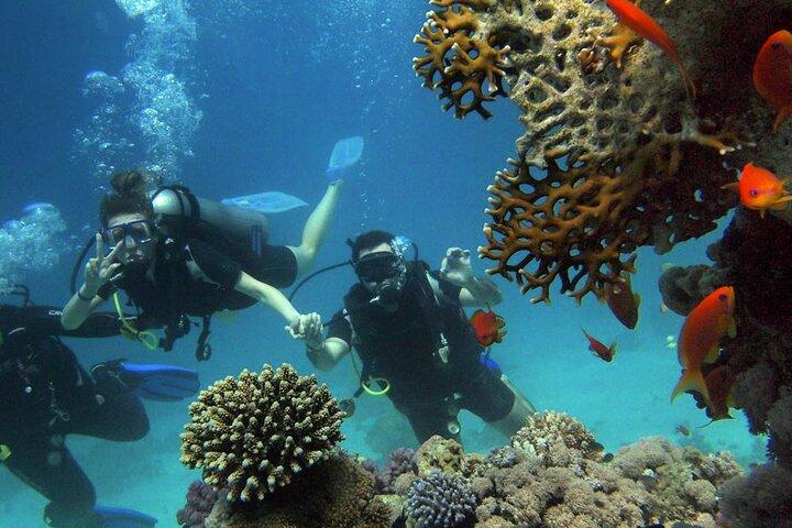 Expérience de plongée sous-marine à Alanya