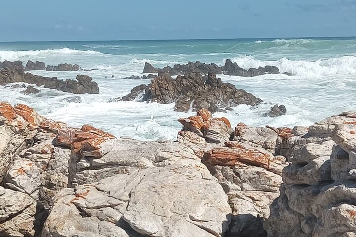 Small Group tour to Cape of Good Hope and Boulders Beach Penguin