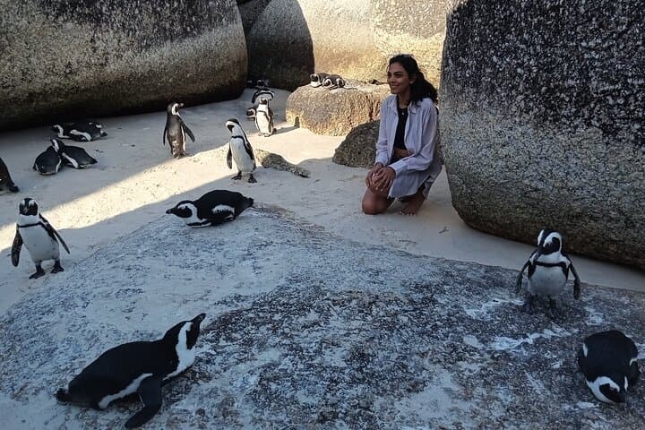 Small Group tour to Cape of Good Hope and Boulders Beach Penguin