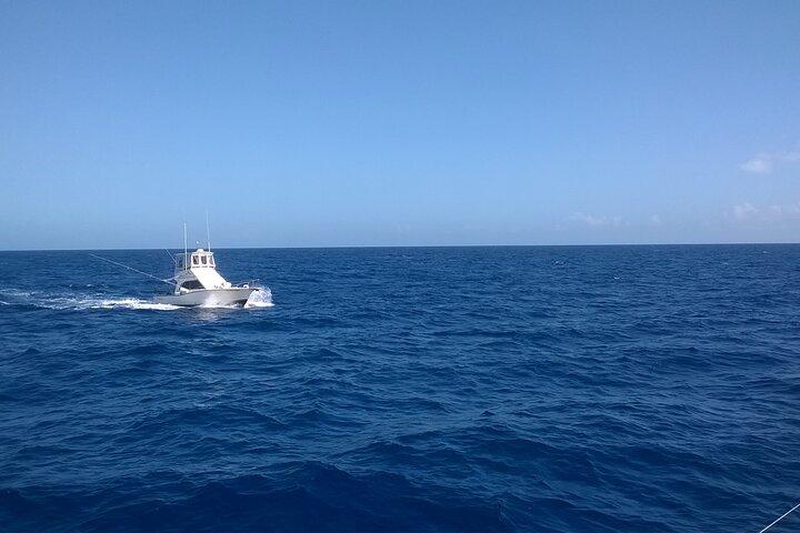 4 timers Punta Cana fisketur