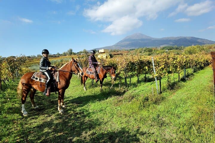 Horseback Riding on Vesuvius
