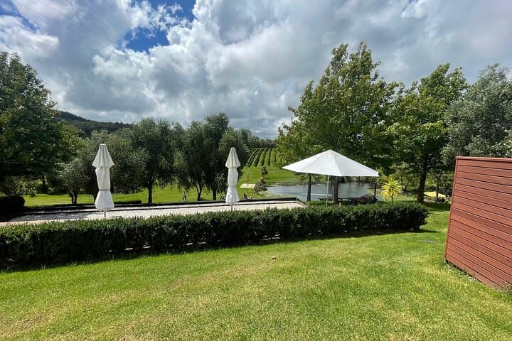 Kumeu Wine and Food Pairing Tour