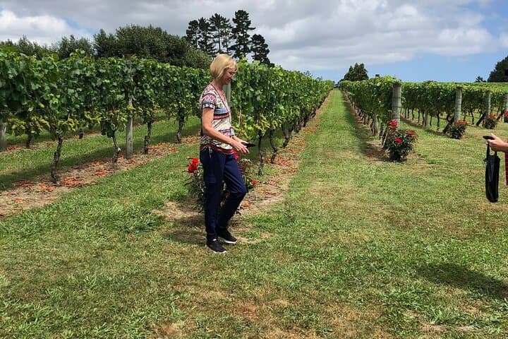 Kumeu Wine and Food Pairing Tour