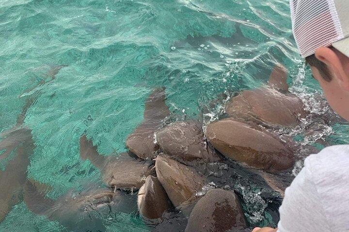 Snorkel HolChan Shark Ray Alley e Caye Caulker Manatee Spotting