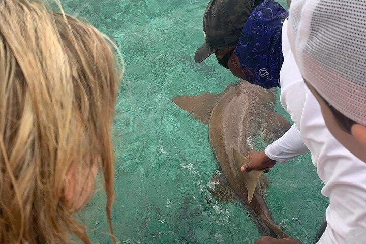 Snorkel HolChan Shark Ray Alley e Caye Caulker Manatee Spotting