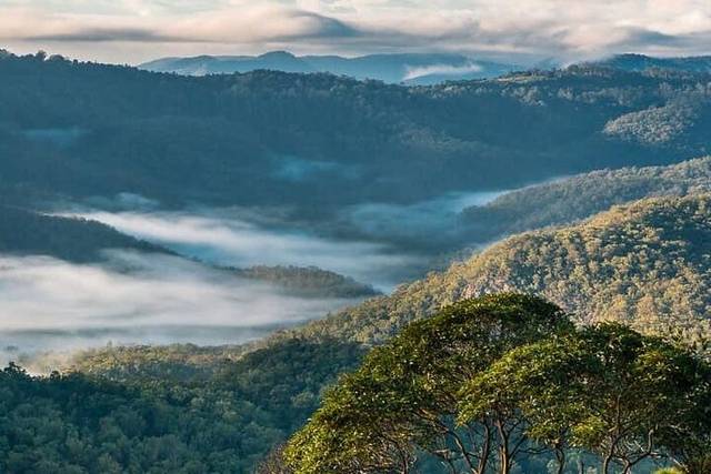 Tamborine Mtn