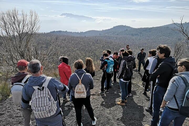Mount Vesuvius tour by bus and ticket included from Ercolano