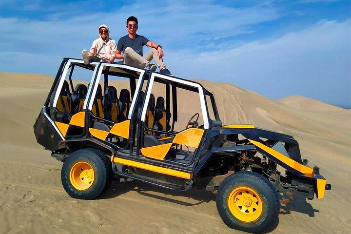 Visite privée 2D/1N à Paracas, Huacachina et les lignes Nazca