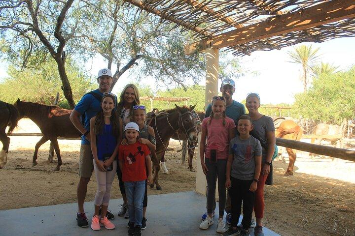 Cabo Shore Excursion: Beach Horseback Ride & Tequila Tasting