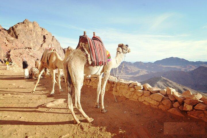Tour del Monte Mosè da Sharm elsheikh