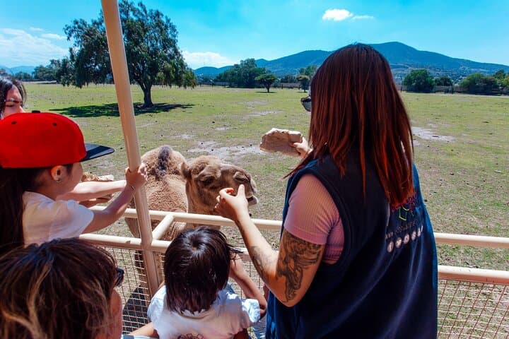 Teotihuacán for kids