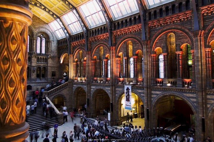 Musée d'histoire naturelle de Londres : visite privée d'une demi-journée