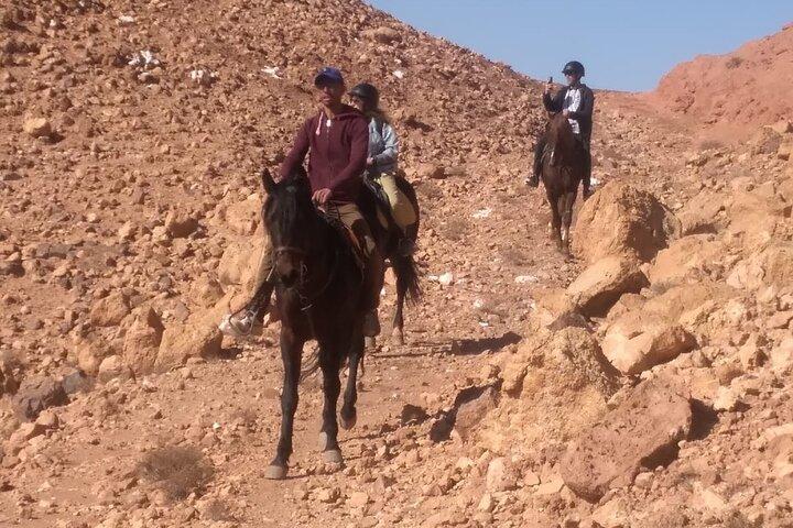 1 Stunde Reitabenteuer in Ait Ben Haddou