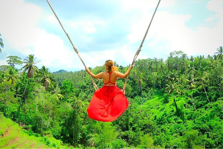 Tour di Ubud con Jungle Swing e Waterfall Water Temple