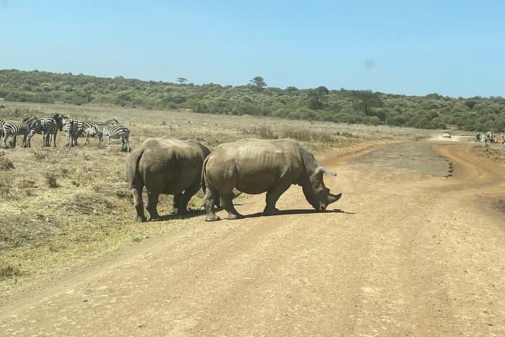 4 Days budget-group joining Masai Mara and Lake Nakuru safari