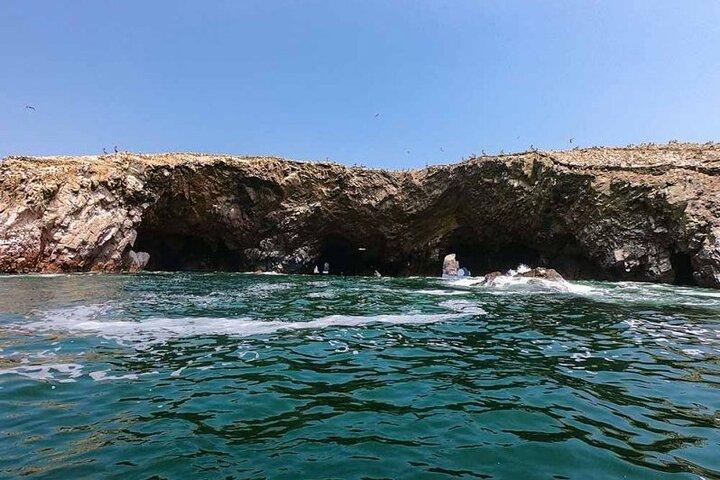 Islas Ballestas: Ida y vuelta desde el Puerto de Cruceros Pisco