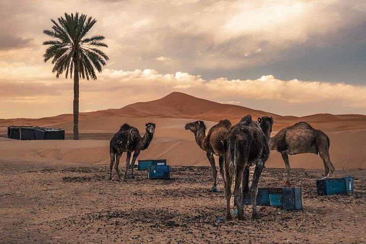 Noite em um campo privado do deserto do Sahara em Merzouga All Inclusive