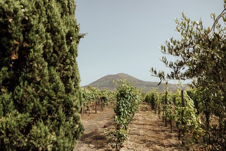 Private Tour in Pompeii and Vesuvius
