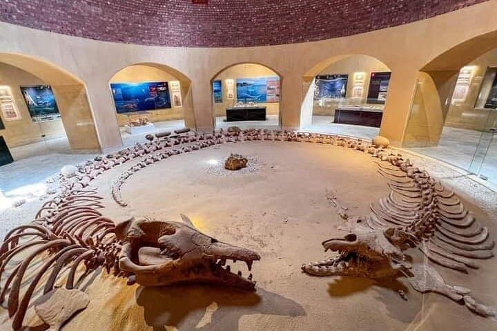 Fayoum Oasis Tour Hidden Gem Wadi El Rayan & Valley of the Whales