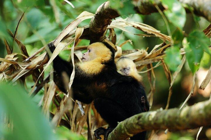 Costa Rica 7 nuits 8 jours forfait de luxe tout compris