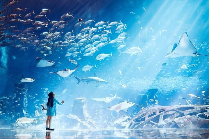 Atlantis Lost-Chamber Aquarium Dubai