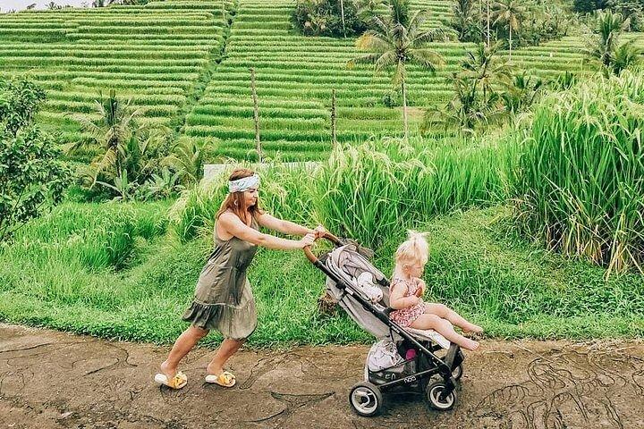 Ad ovest di Bali: Bedugul, Jatiluwih Rice Terrace e Tanah Lot Temple