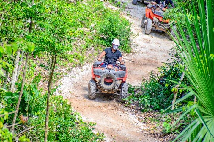 ATVツアー、ジップライン、マヤ・セノーテ、タコス、テキーラ、トランスポート