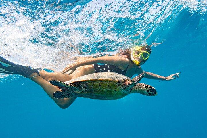 Halvdags privat segling Katamaran och Snorkeltur till St John