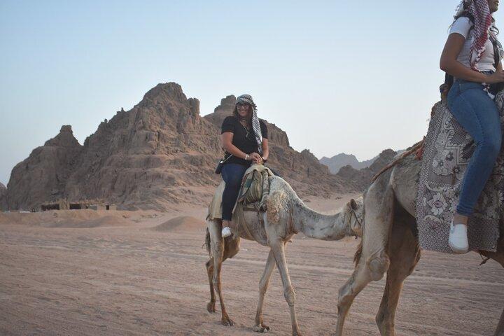 Sunset 5-in-1 Adventure em Sharm El-Sheikh com passeio de camelo