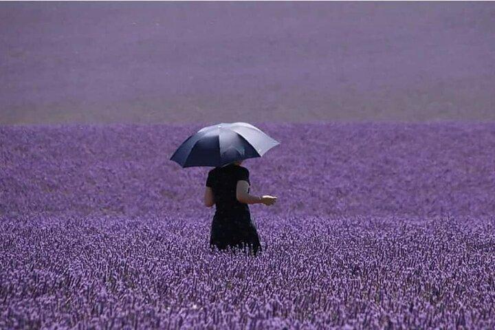 終日プライベート ツアー Gorges du Verdon (LAVENDER JUNE 15/JULY 15)
