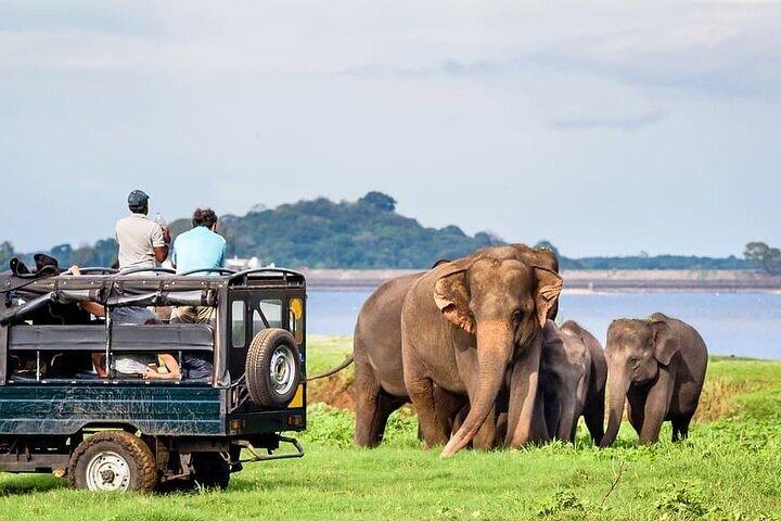 Jeep Safari till Udawalawa National Park, Budget Tour från Colombo