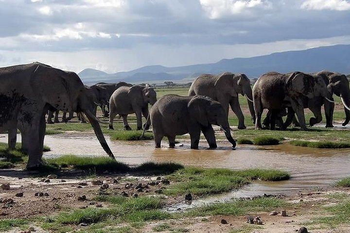 6-daagse Samburu Sweetwaters Lake Nakuru en Lake Naivasha Tour