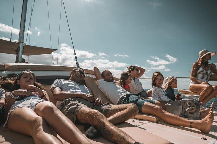 3-stündiger Katamaranausflug entlang der Costa Adeje