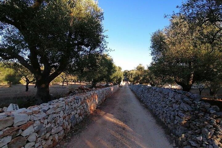 バーリからのマルティナ・フランカ・チステルニーノとセグリー・メサピカの訪問