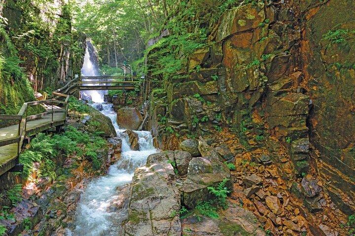 Lost River Gorge og White Mountains dagstur