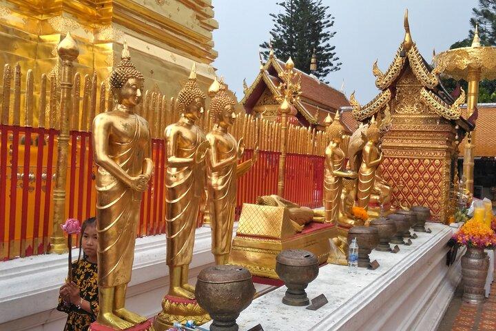 Nr. 1 Chiang Mai: 3-timers Monk Trail-vandring til Wat Doi Suthep & Palad