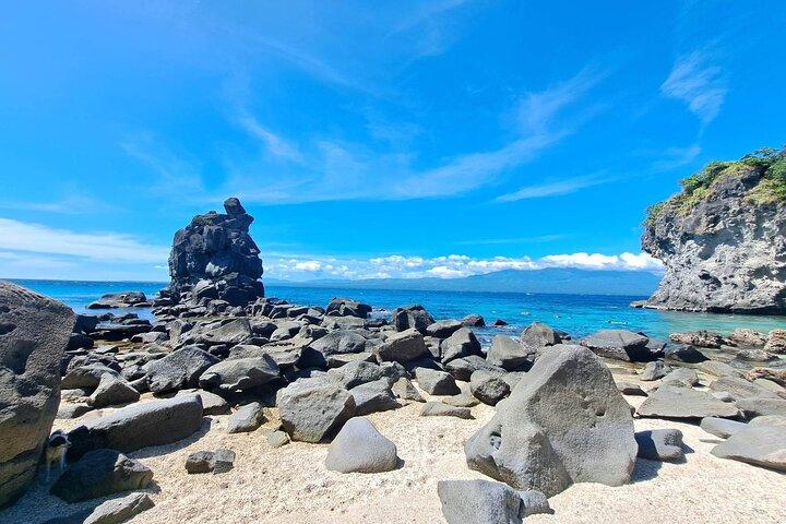 Tour di un giorno dell'isola di Apo da Dumaguete con pranzo e trasferimento