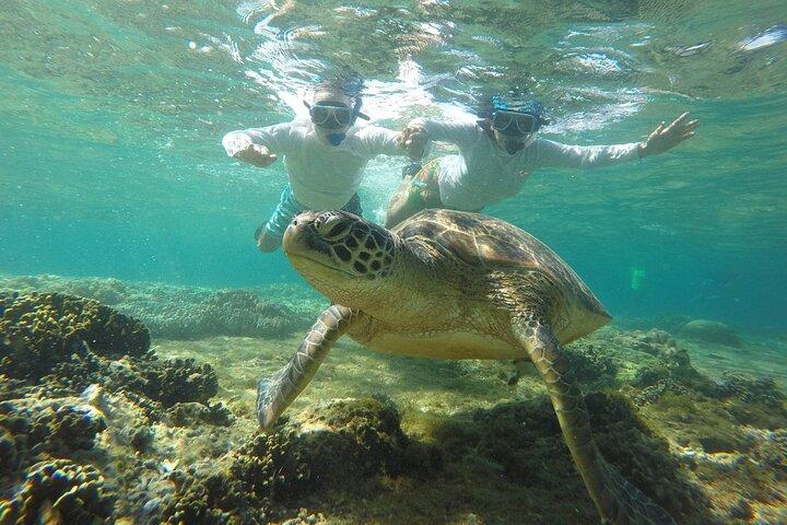 Tour di un giorno dell'isola di Apo da Dumaguete con pranzo e trasferimento