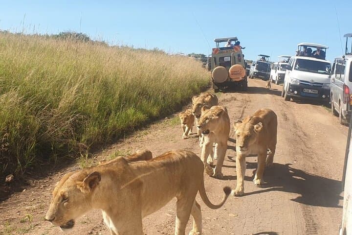 4 Day Group Tour to Maasai Mara and Lake Nakuru by a 4WD Cruiser