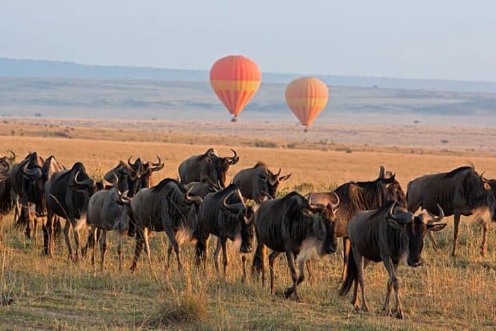 4 Day Group Tour to Maasai Mara and Lake Nakuru by a 4WD Cruiser