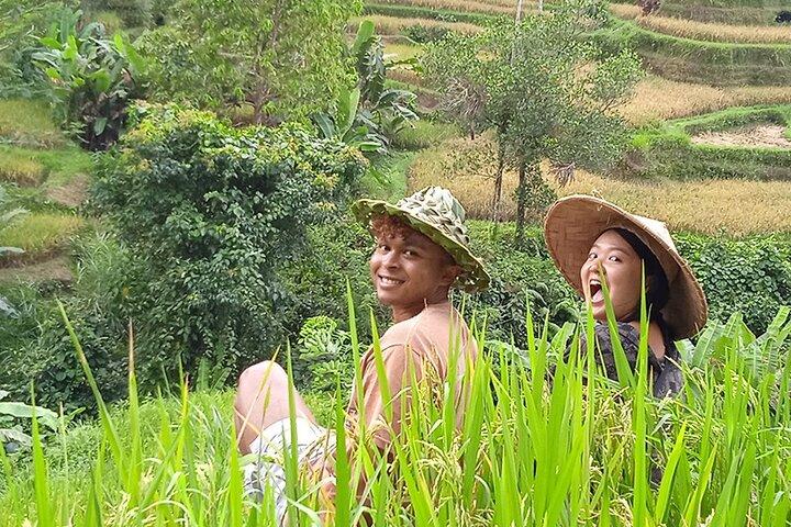 Destaques de Ubud: Sacred Monkey Forest, Rice Terraces, Waterfall