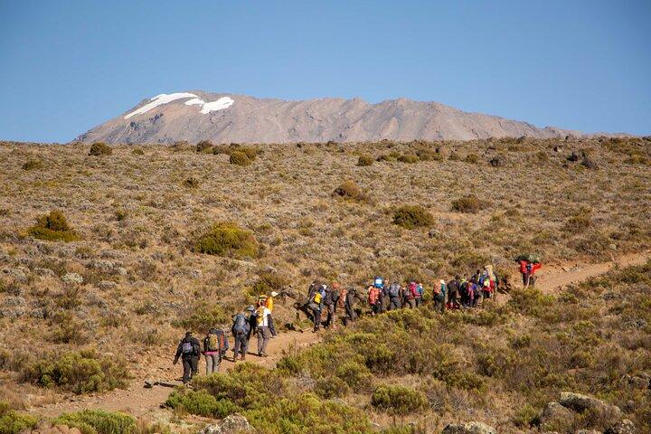 Mount Kilimanjaro-bestigning, Machame-rute 7-dages trekking