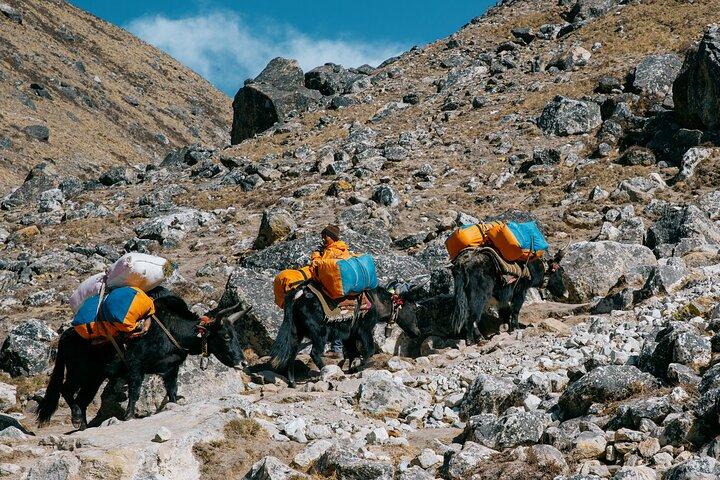 Trekking al campo base dell'Everest - 14 giorni