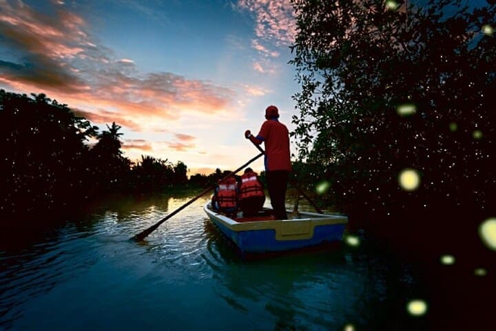 Kuala Selangor Fireflies Tour with Boat Ride & Monkey Encounter