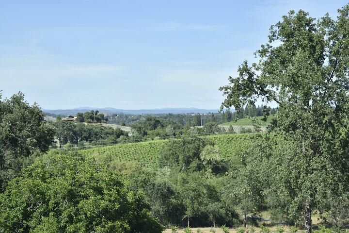 Lodi vinsmagningsture Tilpasset privat vintur