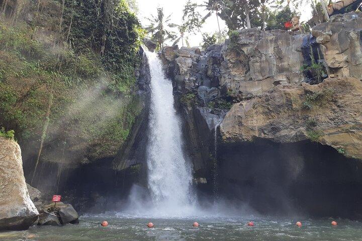 Bästa Bali Ubud Heldags all-inclusive privat tur