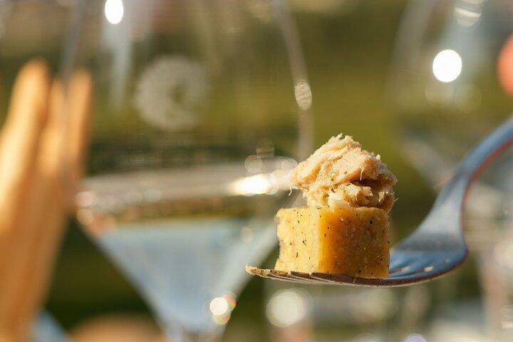 Dégustation de vins et mets gastronomiques à Bardolino