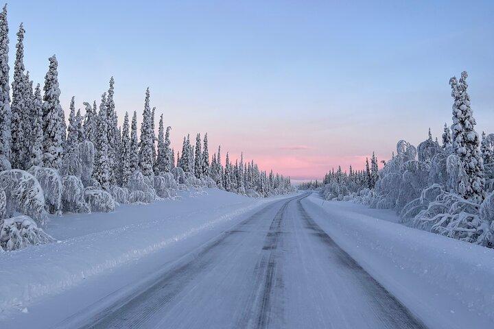 Tour delle renne di un'intera giornata con ritiro a Kiruna