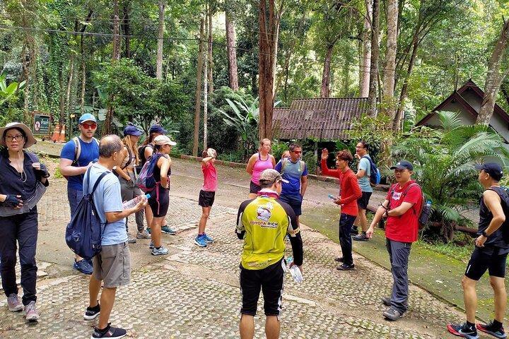 Chiang Mai: Doi Suthep Summit Trek – 7 heures de randonnée pédestre